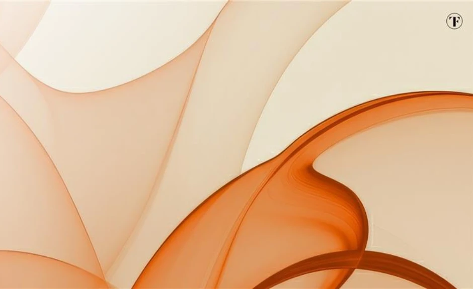 Wellen Formen in orange mit TF Bank Logo oben rechts